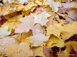 qua Rocca19-11-2017 14-25-52